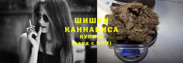 твердый Арсеньев