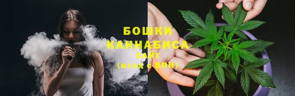 твердый Арсеньев