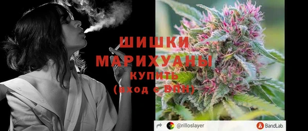 твердый Арсеньев