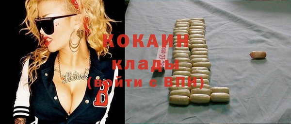 твердый Арсеньев